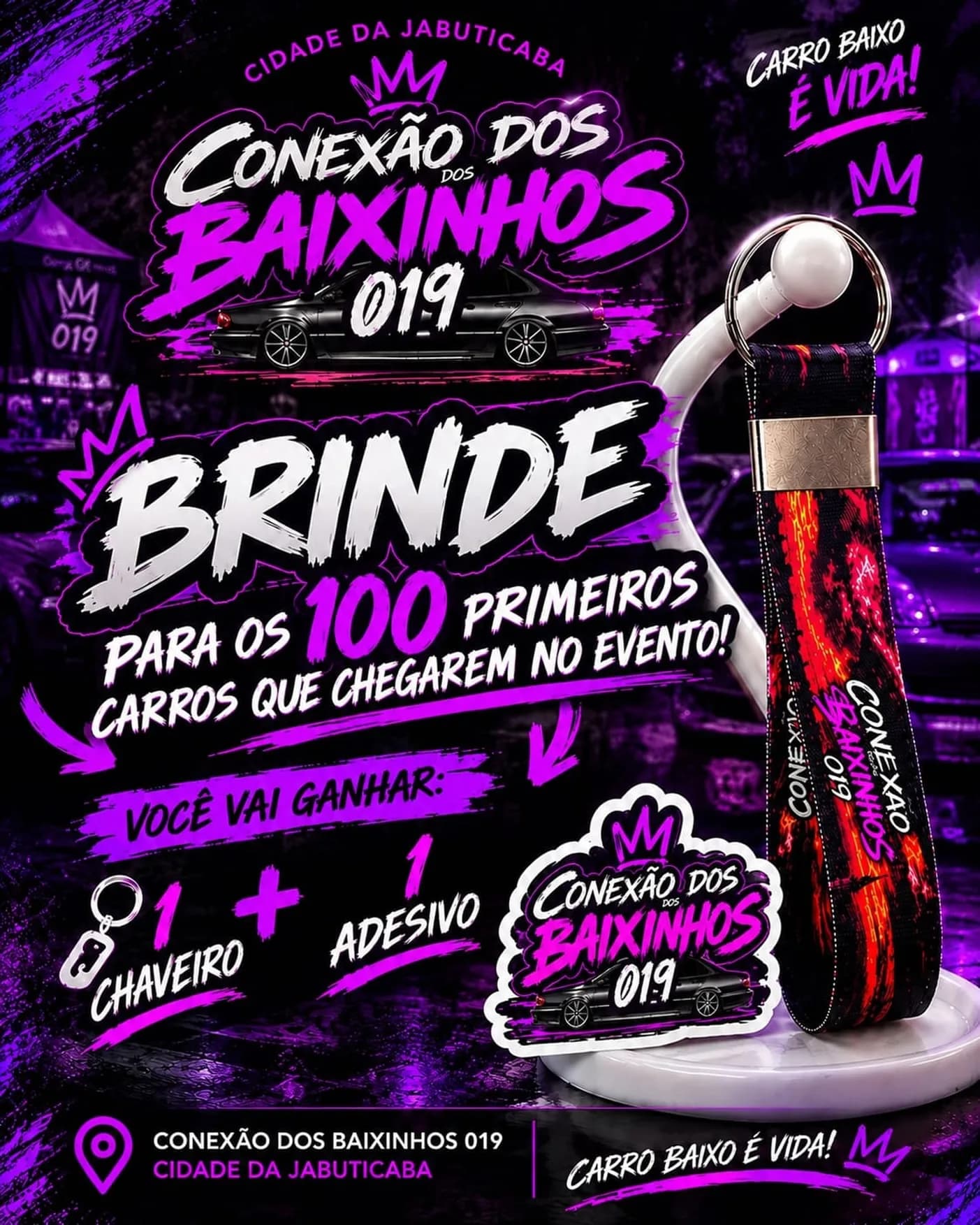 Conexão dos Baixinhos 019