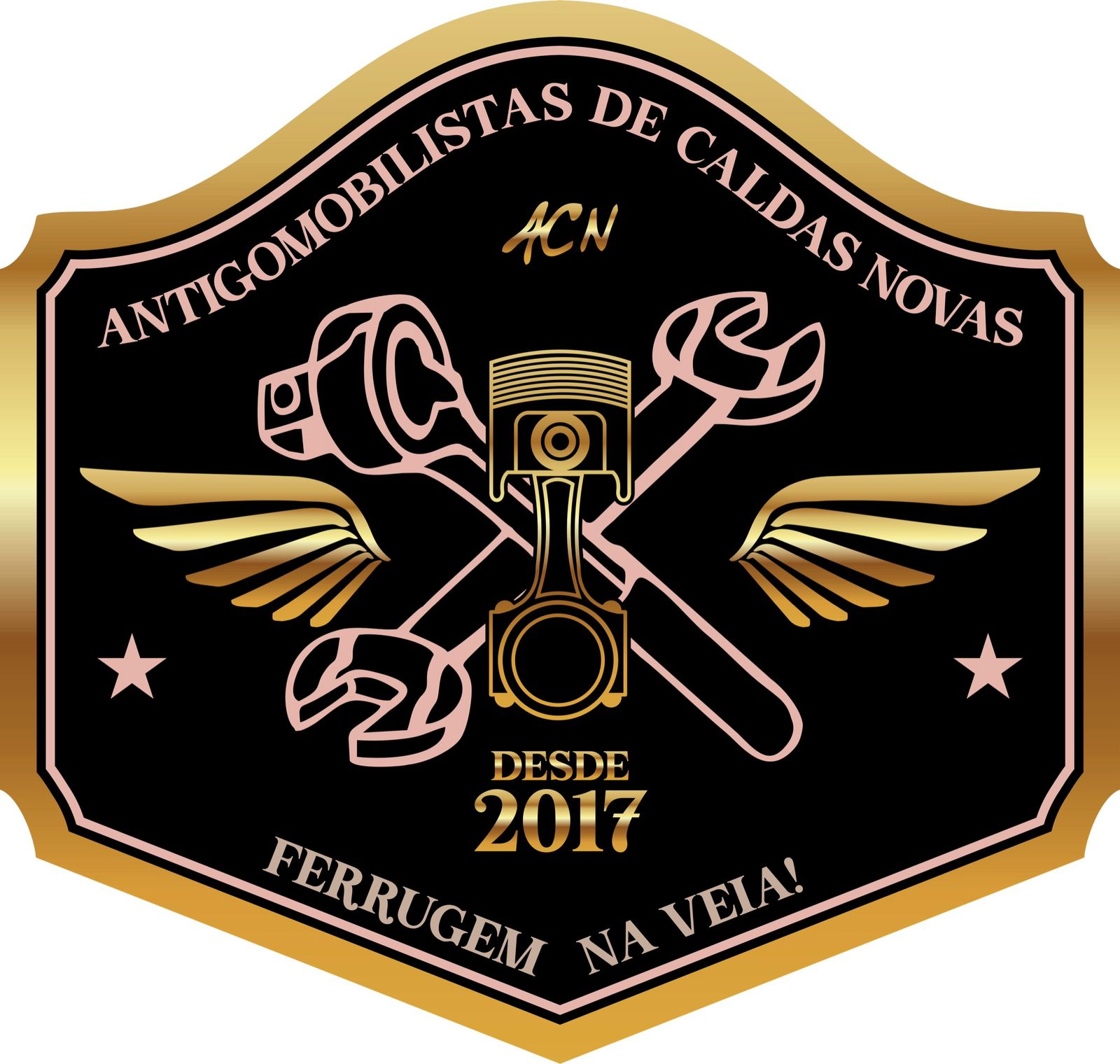 ANTIGOMOBILISTAS DE CALDAS NOVAS  FERRUGEM NA VEIA