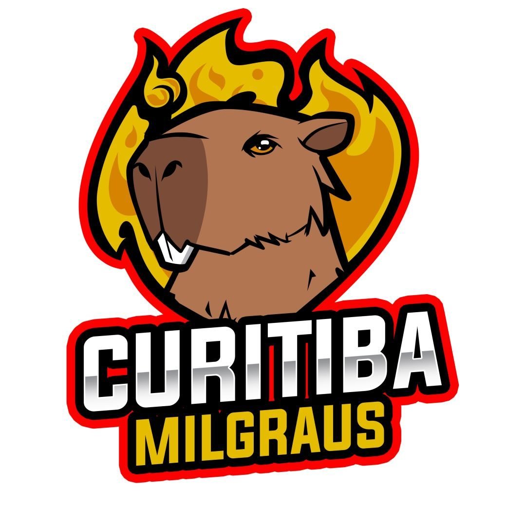 Foto de perfil de @curitibamilgraus